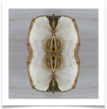 3 Apple - James Leslie
